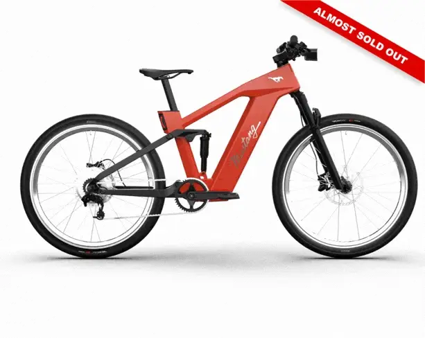Ford Bikes